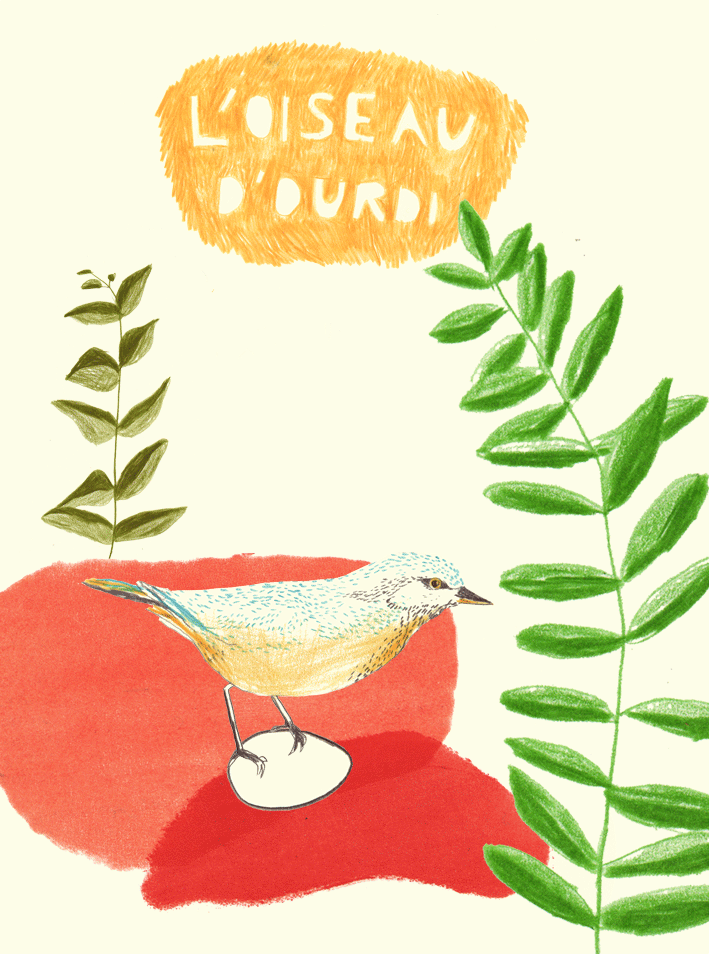 - L'oiseau d'Ourdi- page 1