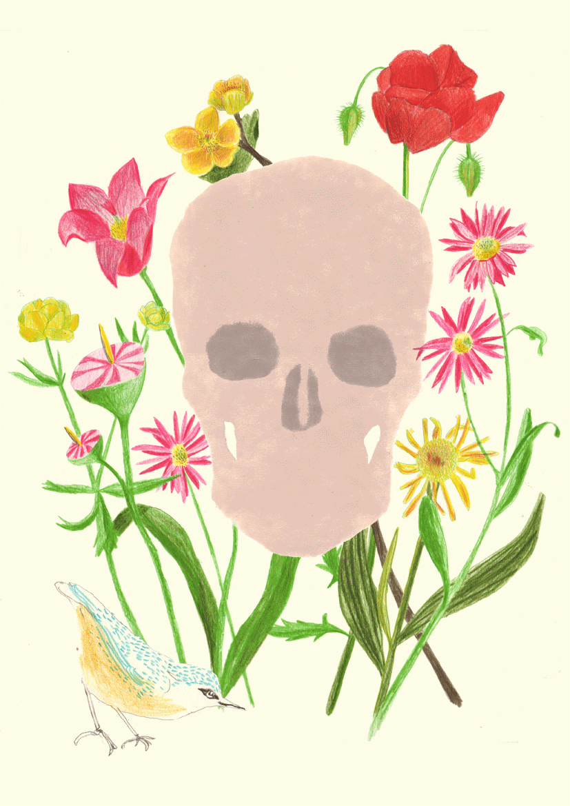 - L'oiseau d'Ourdi- page 10