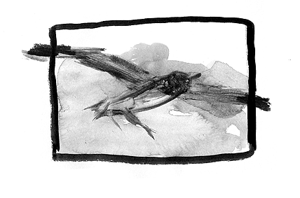 - En attendant Mars…- page 19