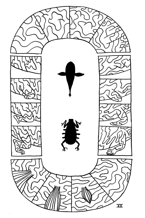 - L'aquarium- page 16