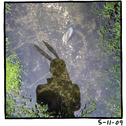 - My Life as a Bunny- page 305