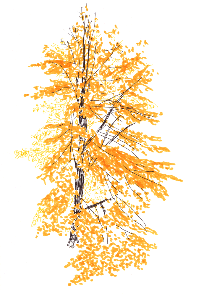 - le petit bazar- page 5