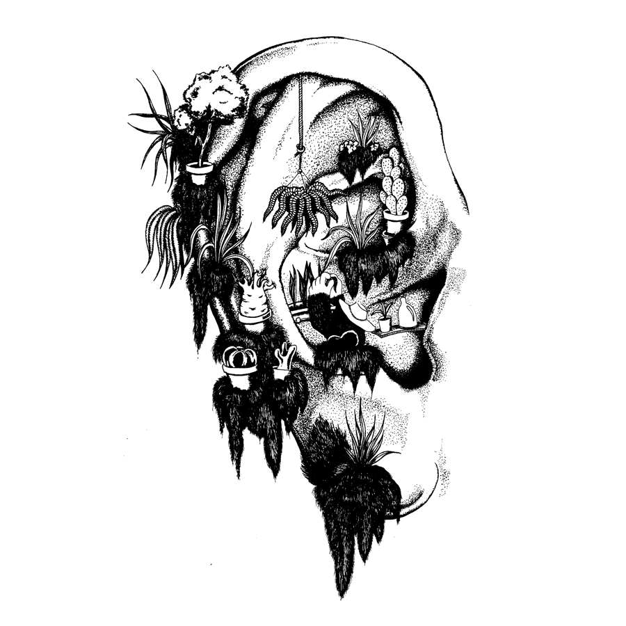 - Étude graphique "Lucinienne"- page 2