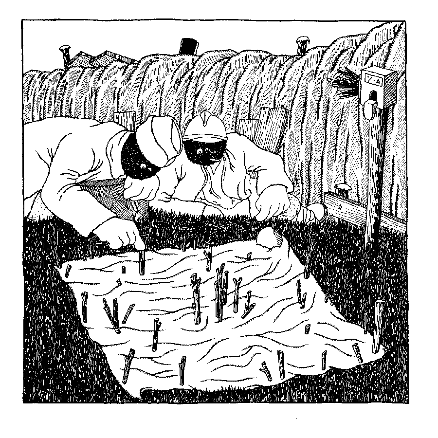 - Les poilus - page 11