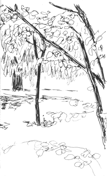 - le petit bazar- page 37