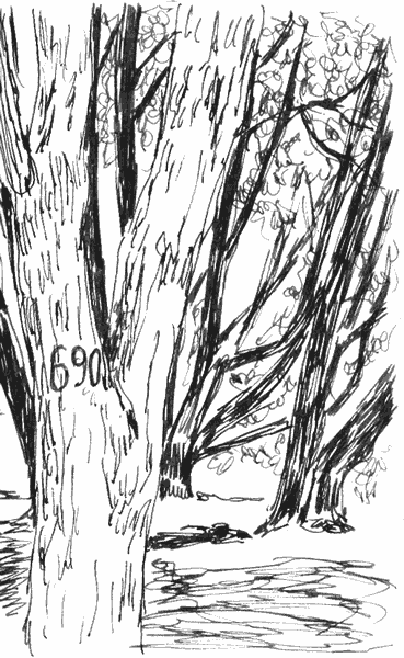 - le petit bazar- page 38