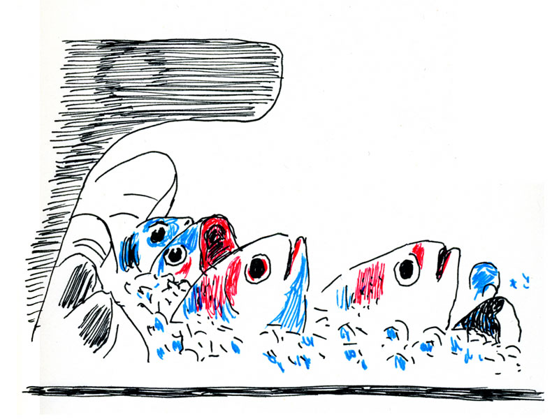 - Girofigaitalia- page 1