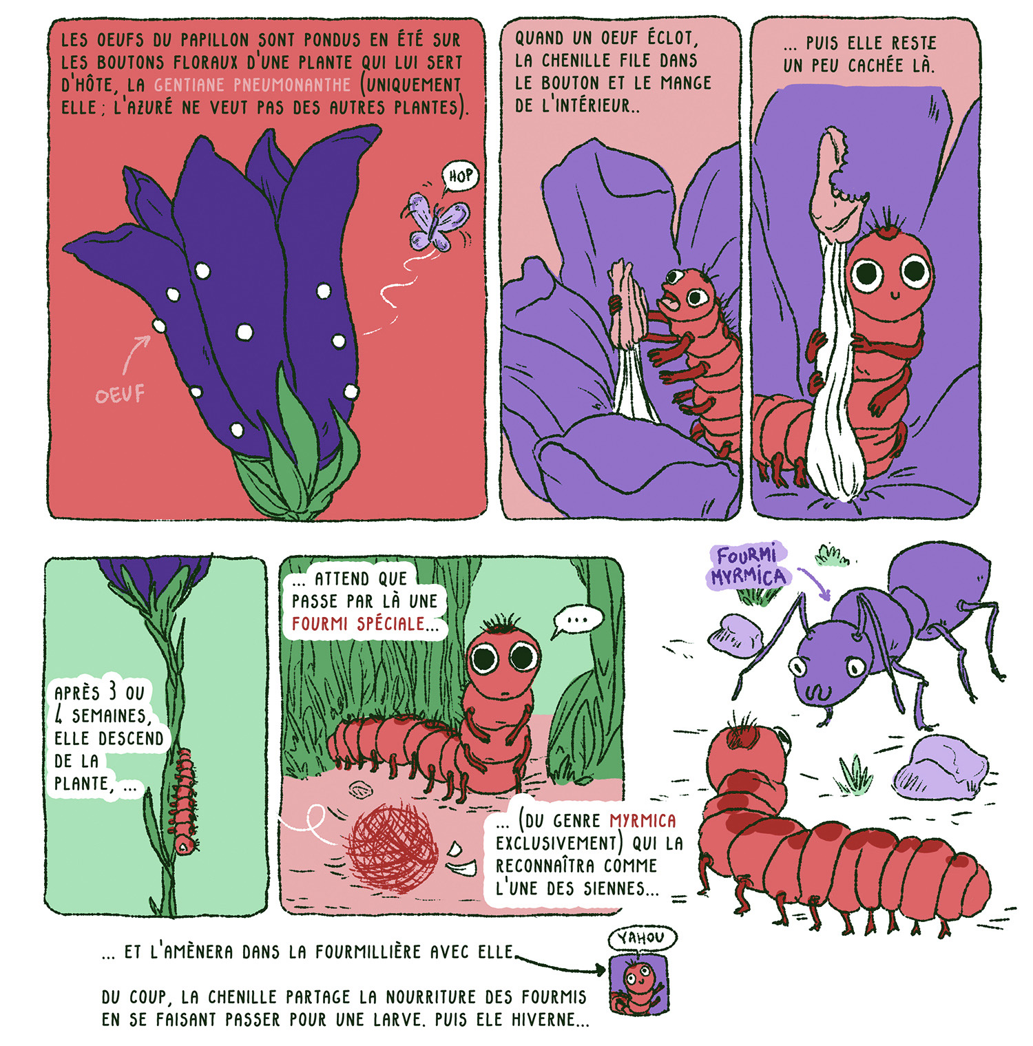 - Les Sentinelles du climat - Reportages graphiques- page 6