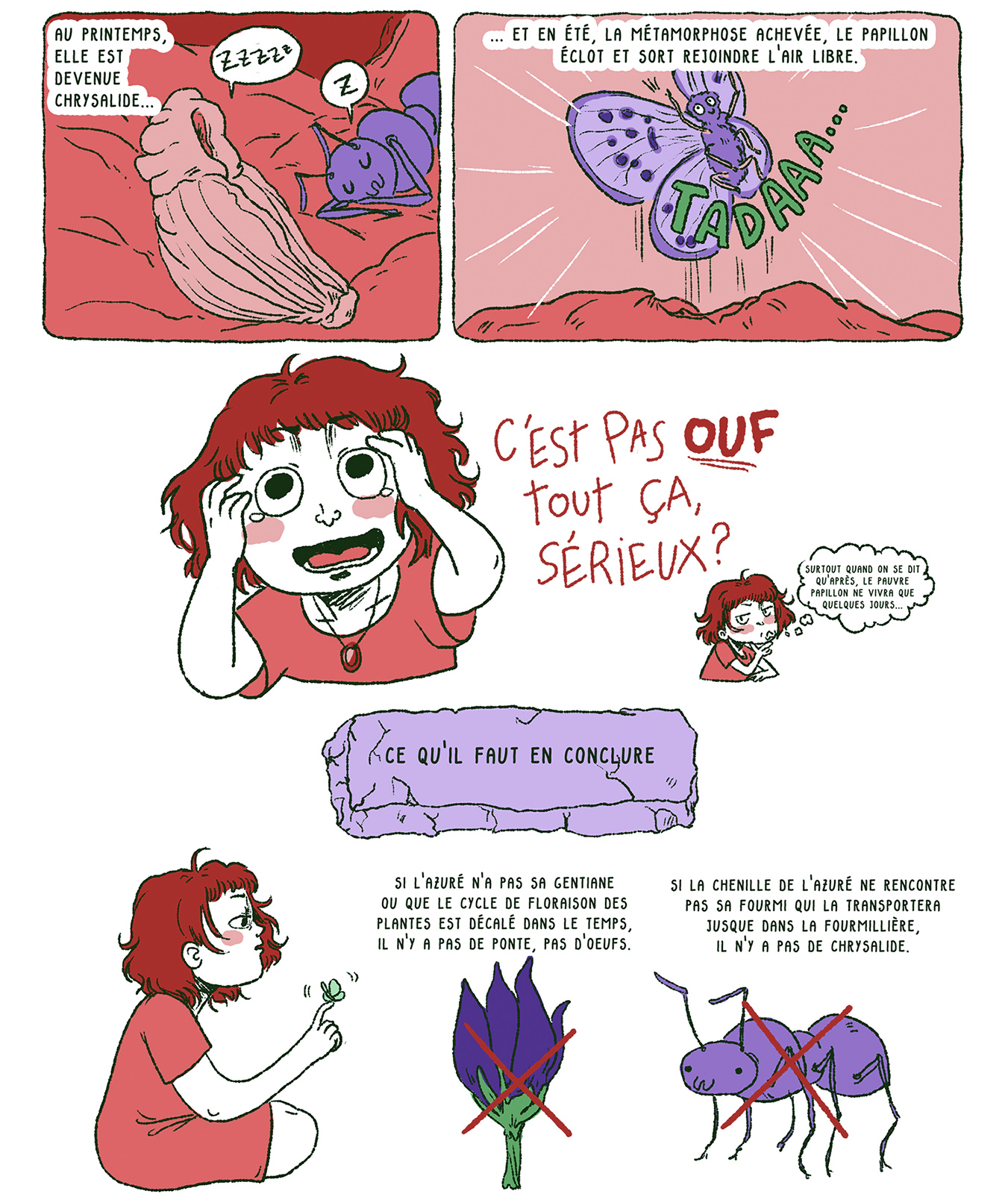 - Les Sentinelles du climat - Reportages graphiques- page 7