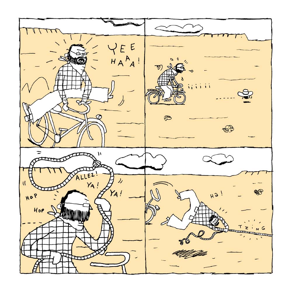 - Western coquillettes- page 9