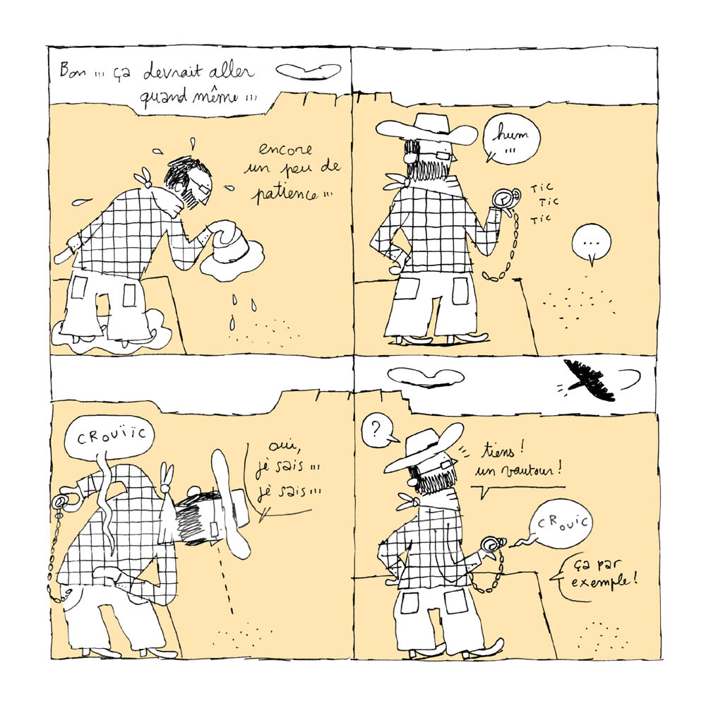 - Western coquillettes- page 16