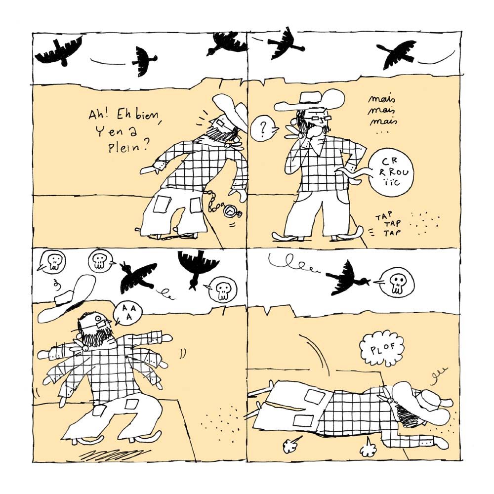 - Western coquillettes- page 17