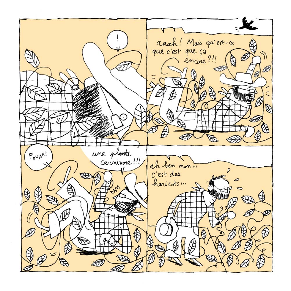 - Western coquillettes- page 18