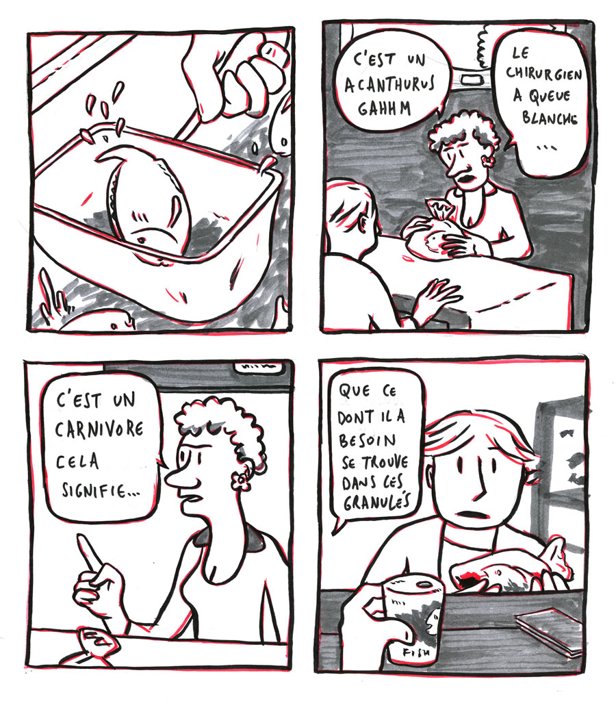 - Le poisson chirurgien- page 7