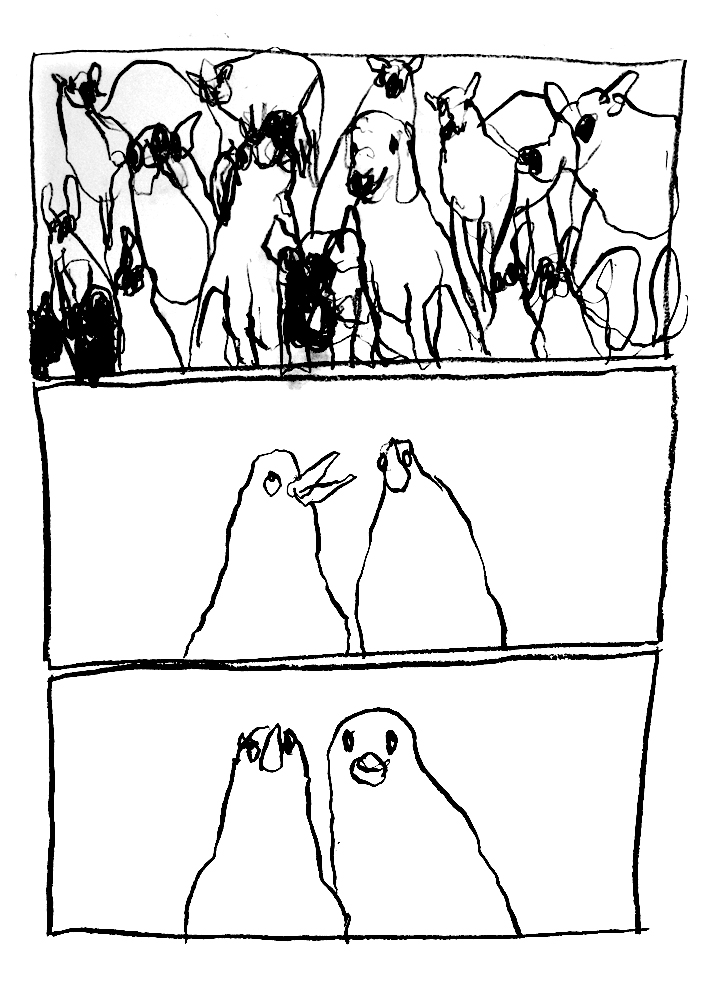 - Spectacle vivant à l'attention des animaux- page 9