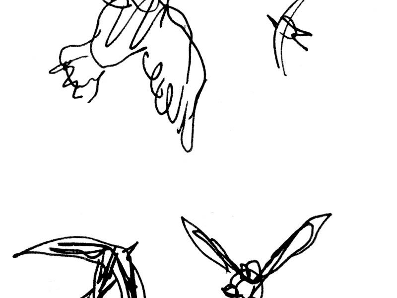 - Girofigaitalia- page 81