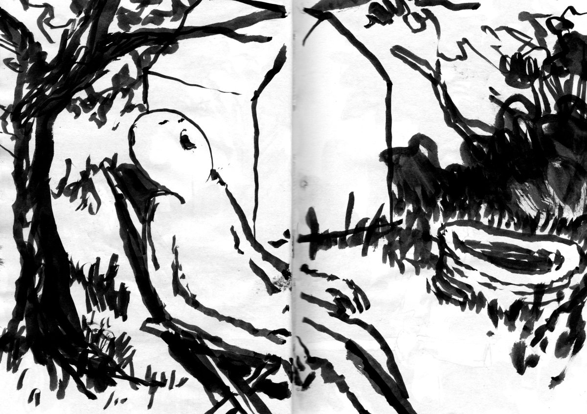 - Visiteurs- page 11