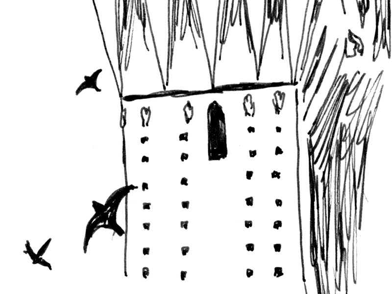 - Girofigaitalia- page 104