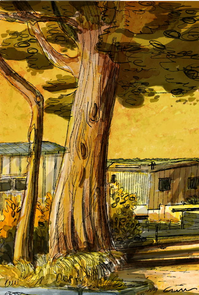 - Illustrations- page 5