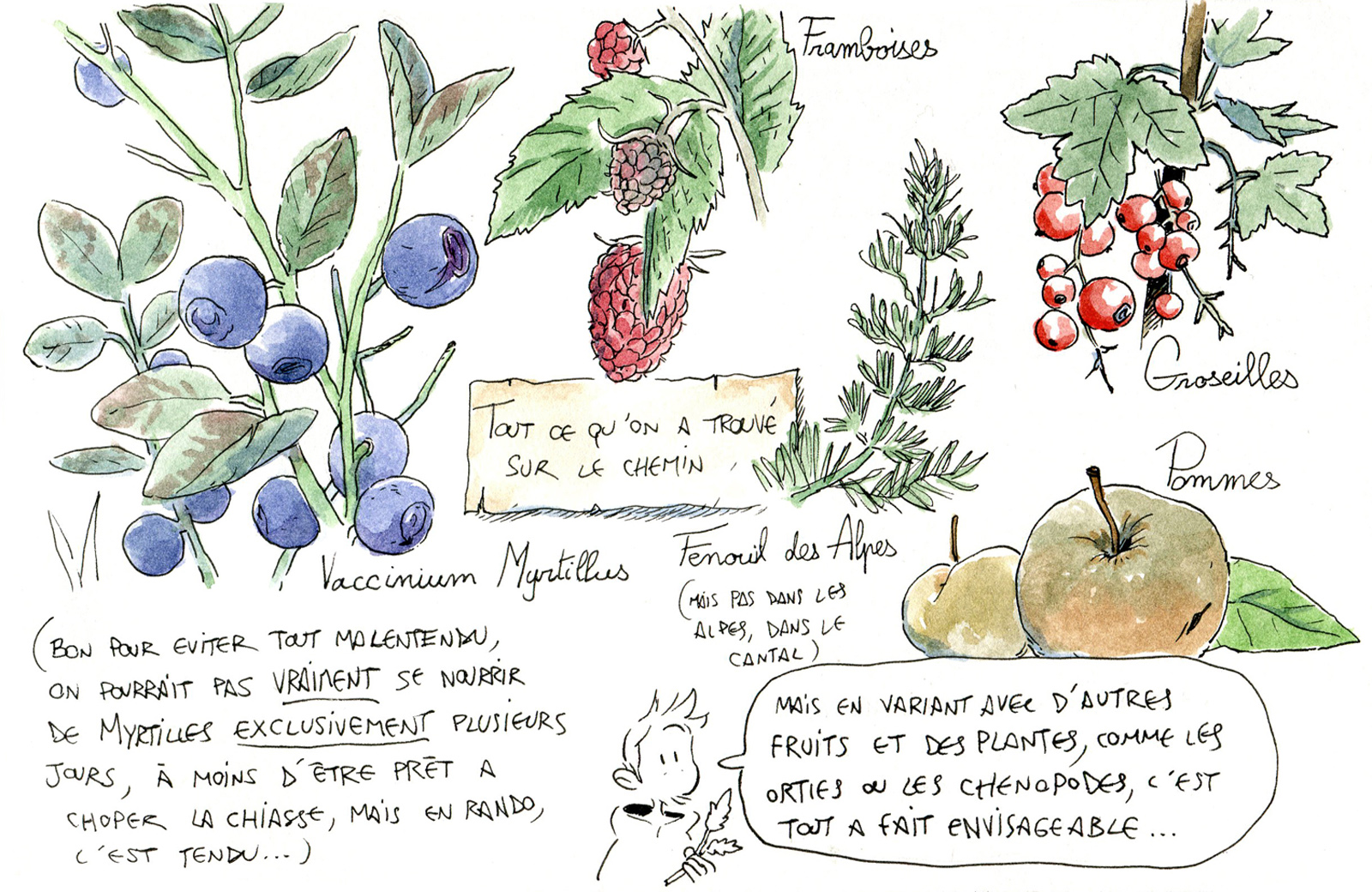 - Réfléxions sur le rapport entre Nature et Jeux Vidéos- page 14