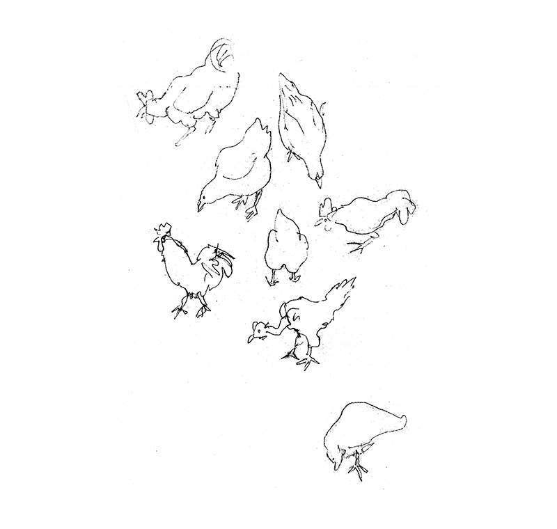 - LE CHOIX (QU'ON FAIT POUR TOI), précédé de ENTRACTE - Carnet de cambrousse- page 3