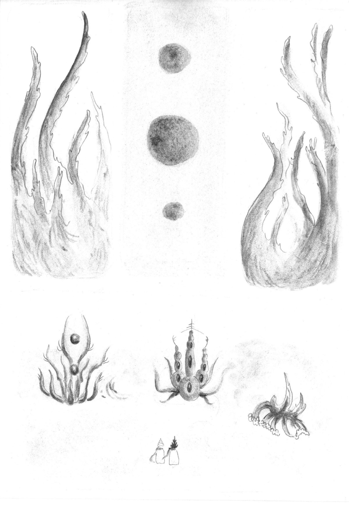 - L'éclipse- page 10