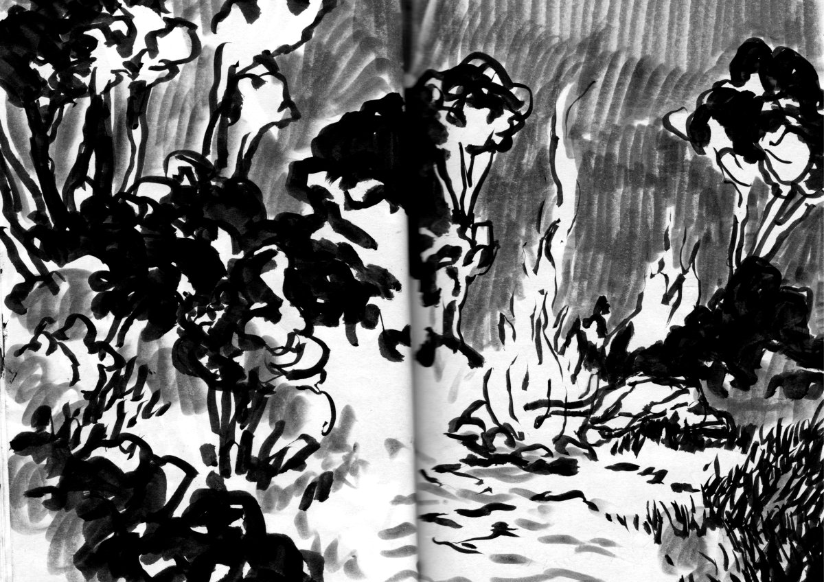 - Visiteurs- page 39