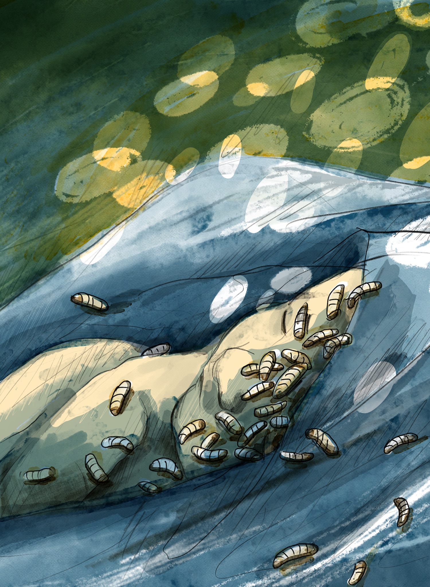 - Quotidien de femme- page 9