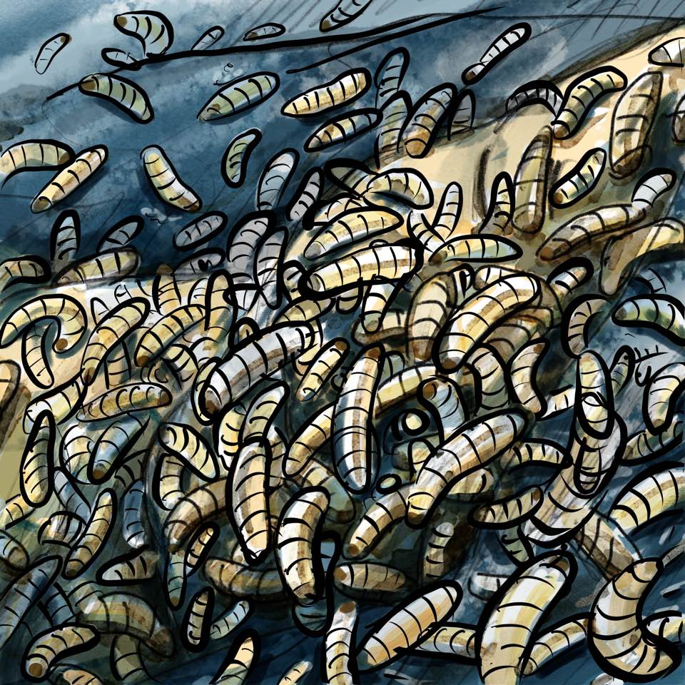 - Quotidien de femme- page 10