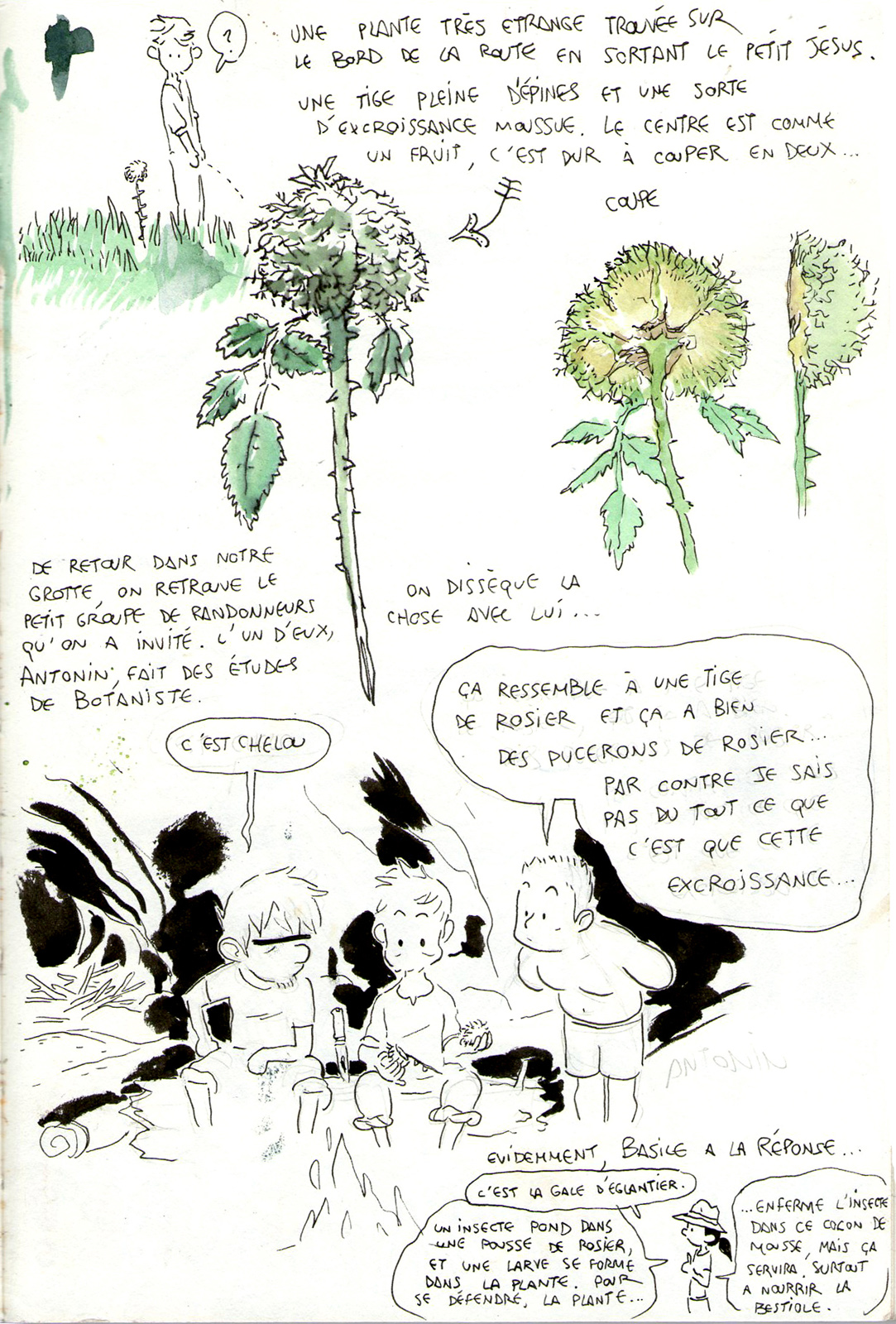 - Balades et Explorations dans les gorges du Tarn- page 13