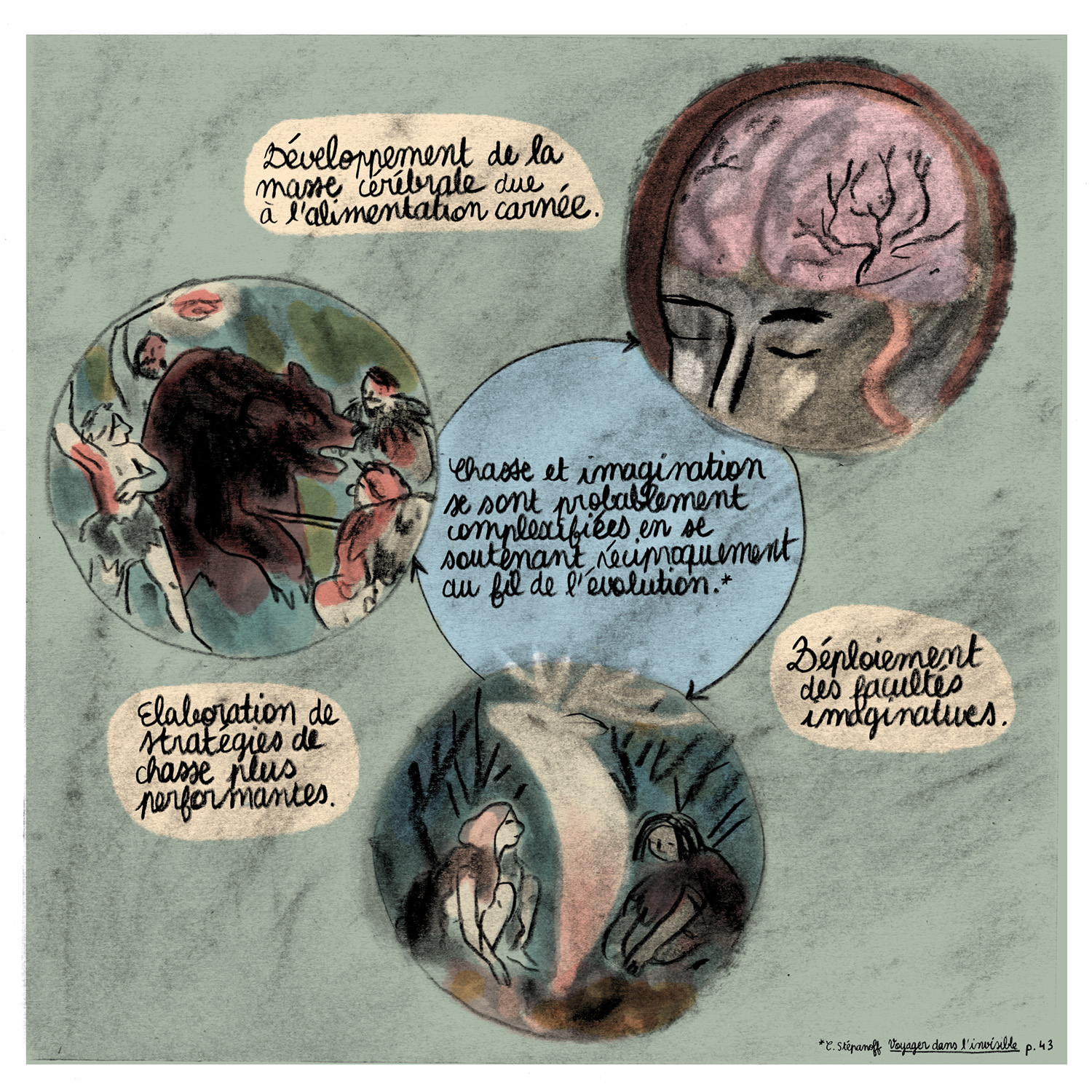 - Aux origines de la chasse- page 13