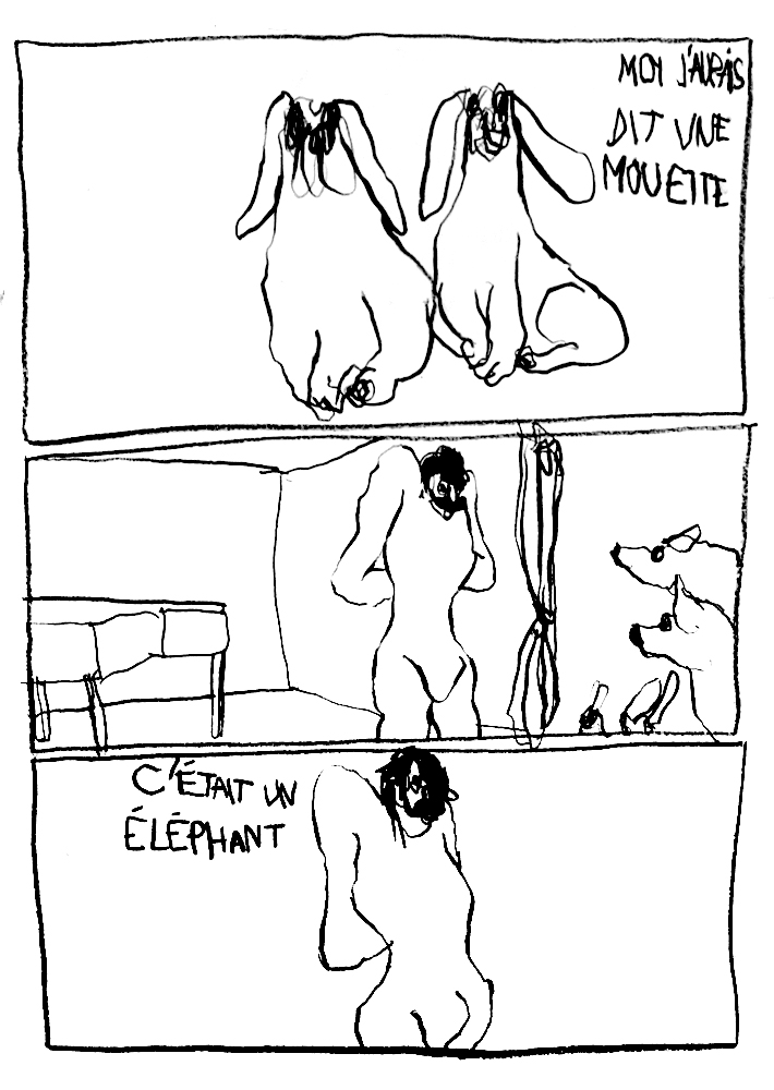 - Spectacle vivant à l'attention des animaux- page 14