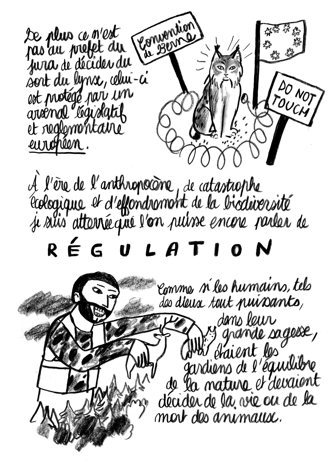 - Lynx en danger- page 14