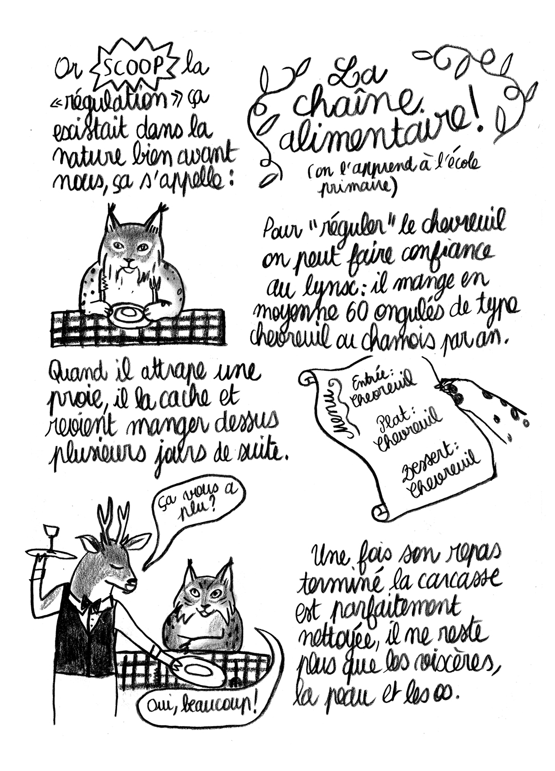 - Lynx en danger- page 15