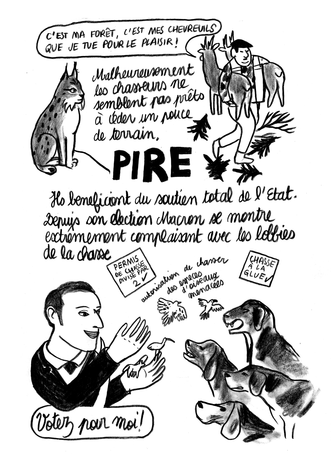 - Lynx en danger- page 17