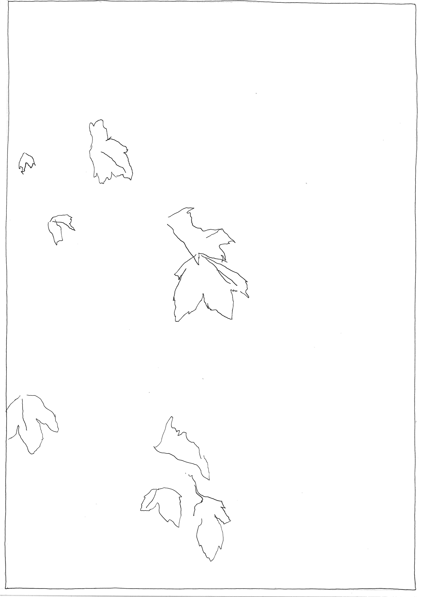 - Blurry vision- page 16