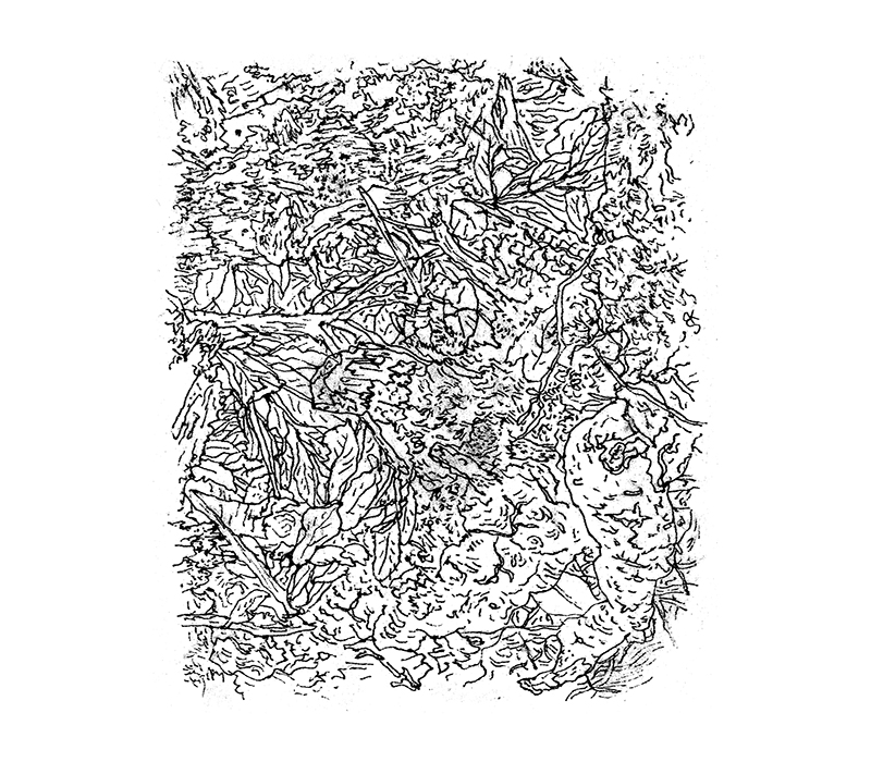 - LA MERDE, ET LA MERDE - Carnet de cambrousse- page 2