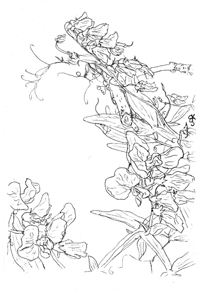 - L'ACCESSIBILITÉ DE LA BEAUTÉ - Carnet de cambrousse- page 15