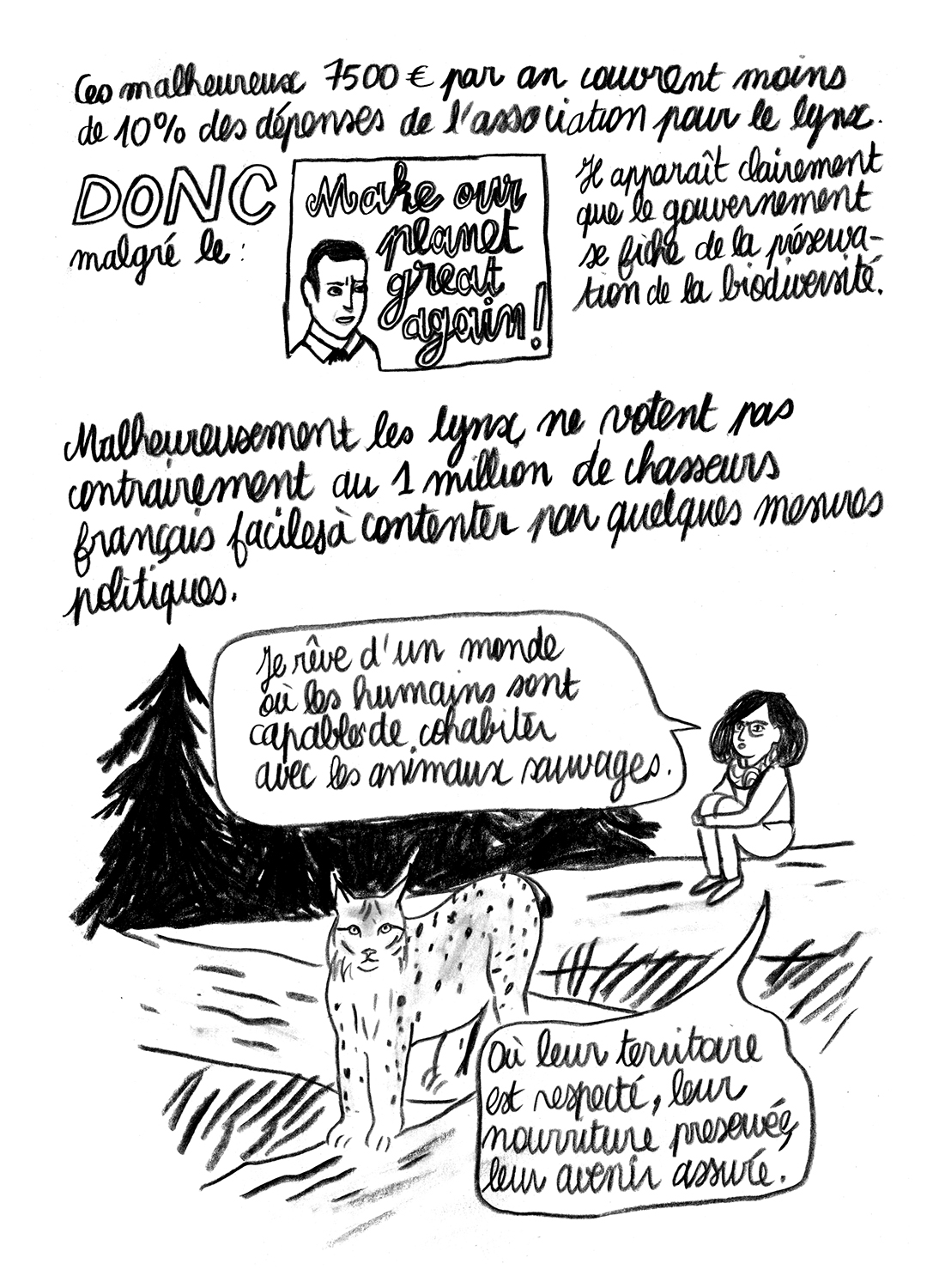 - Lynx en danger- page 20