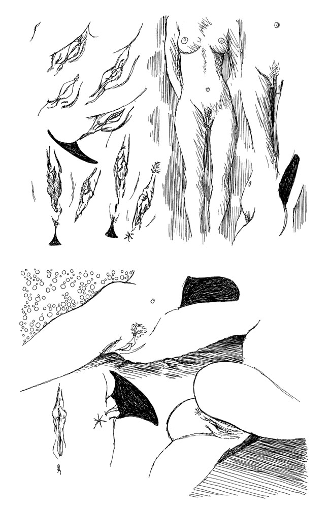 - 2011 (tout)- page 102