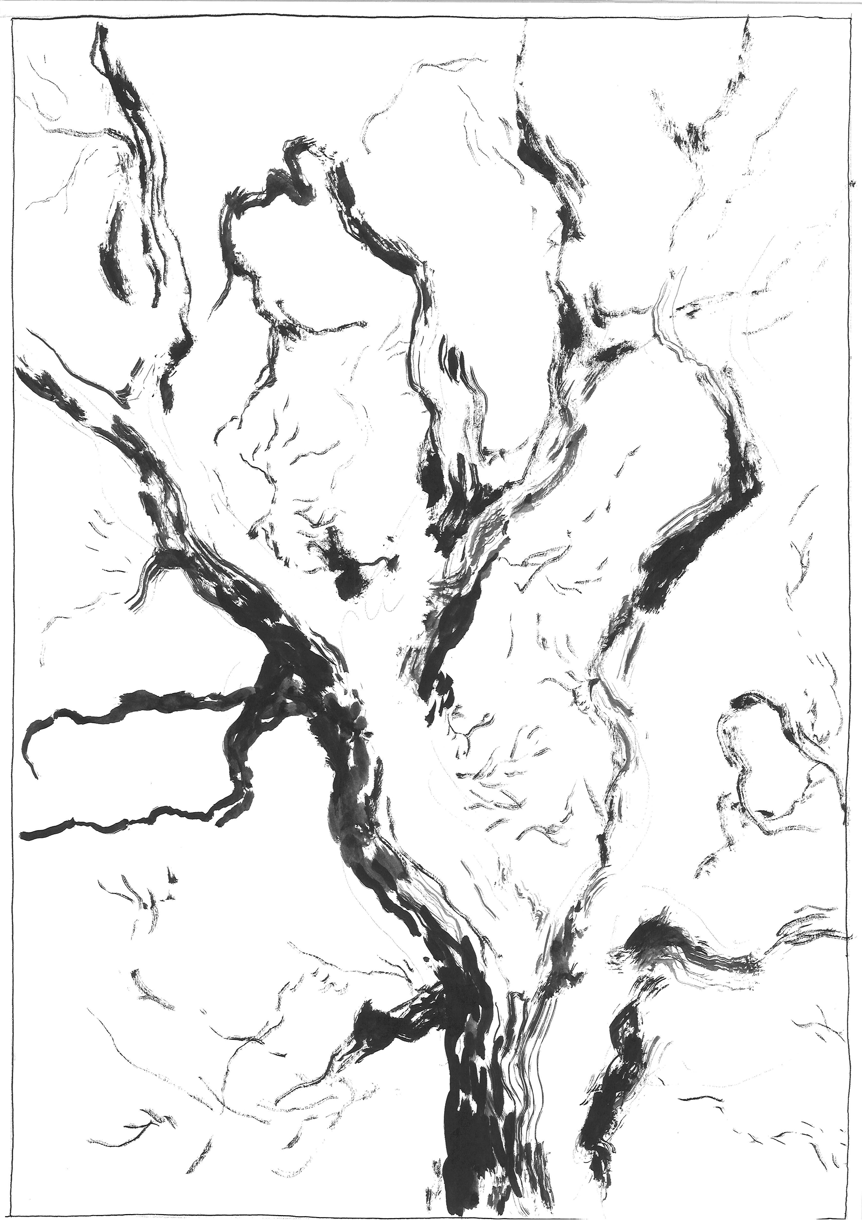 - Blurry vision- page 21