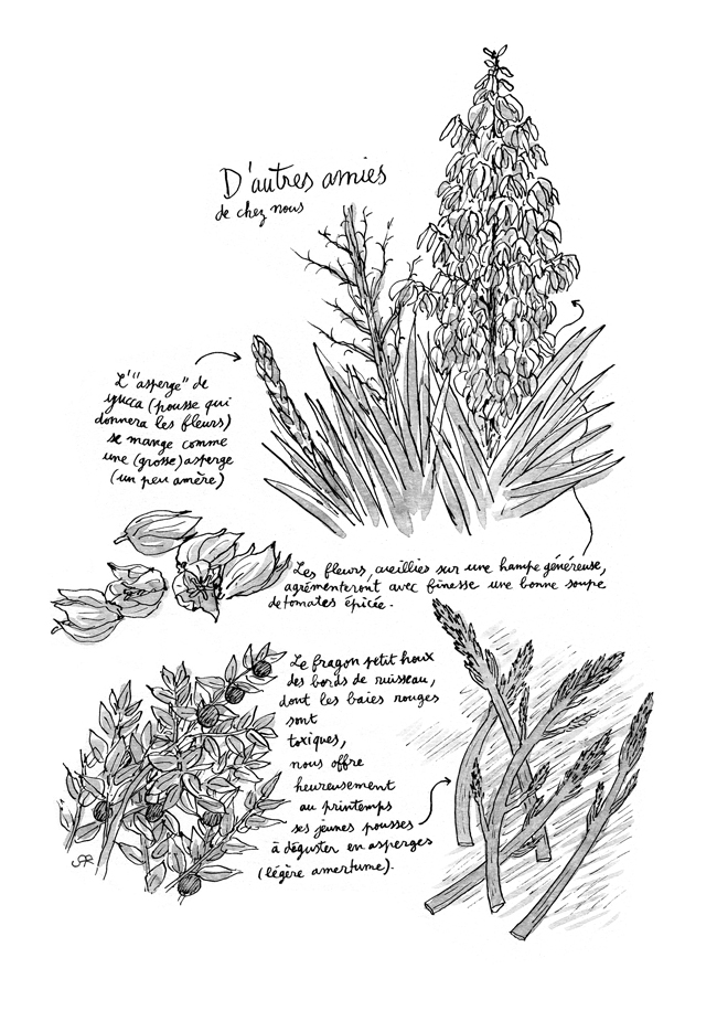 - LA PRATIQUE DU MÉTIER, précédé de EN-CAS - Carnet de cambrousse- page 2