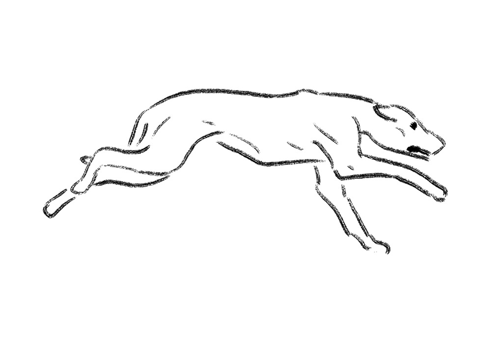 - кошмá- page 24