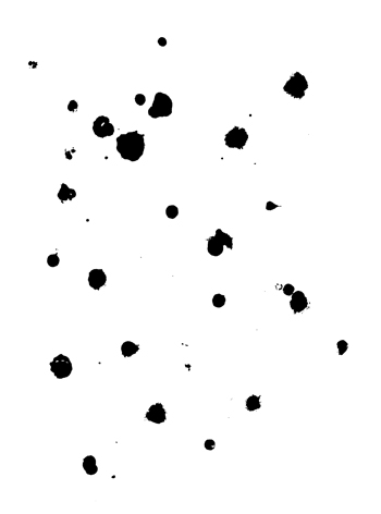 - les hors-la-loi- page 11