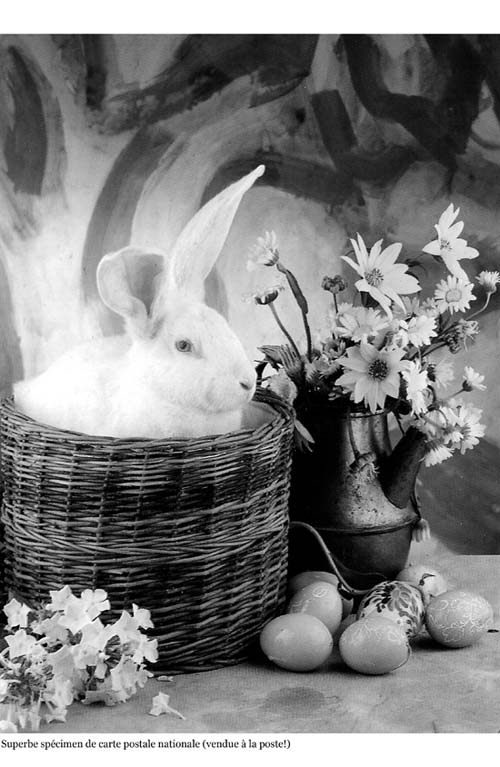 - Roumanie (avant l'Europe)- page 43