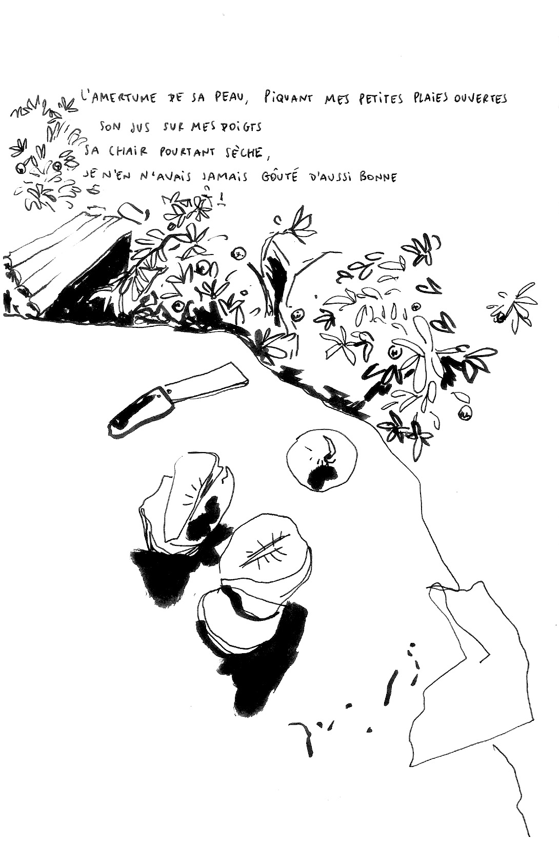 - par delà les montagnes, des orangers- page 10