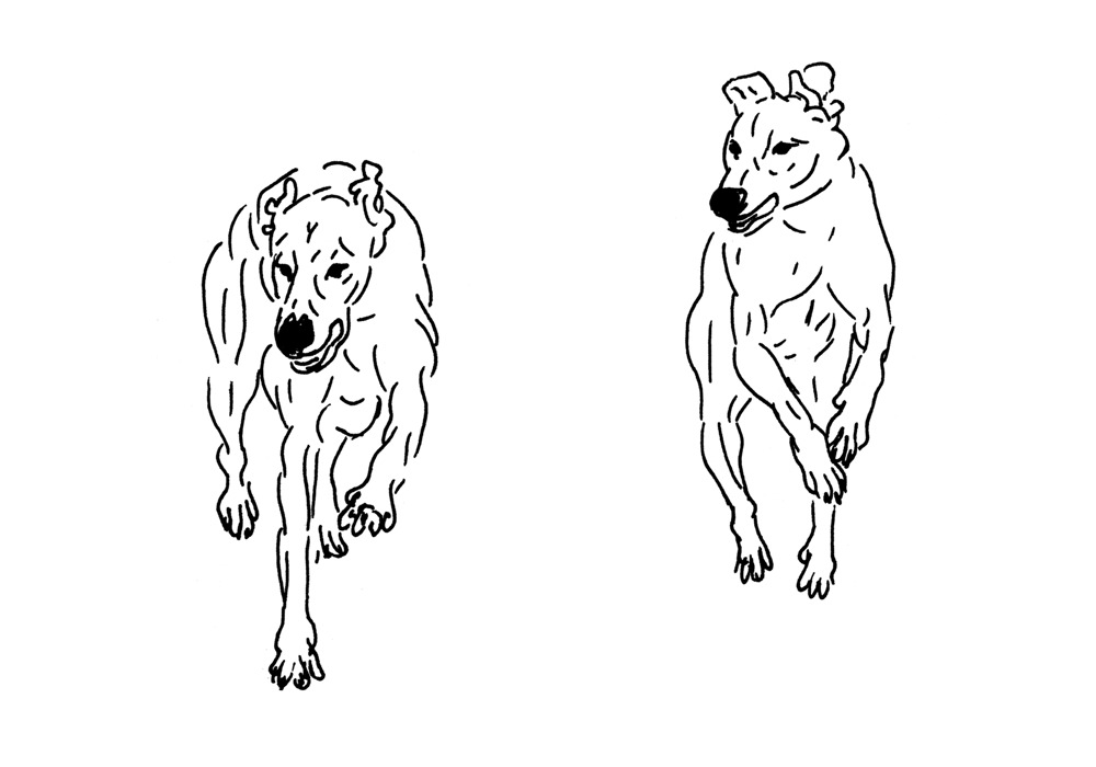 - кошмá- page 25