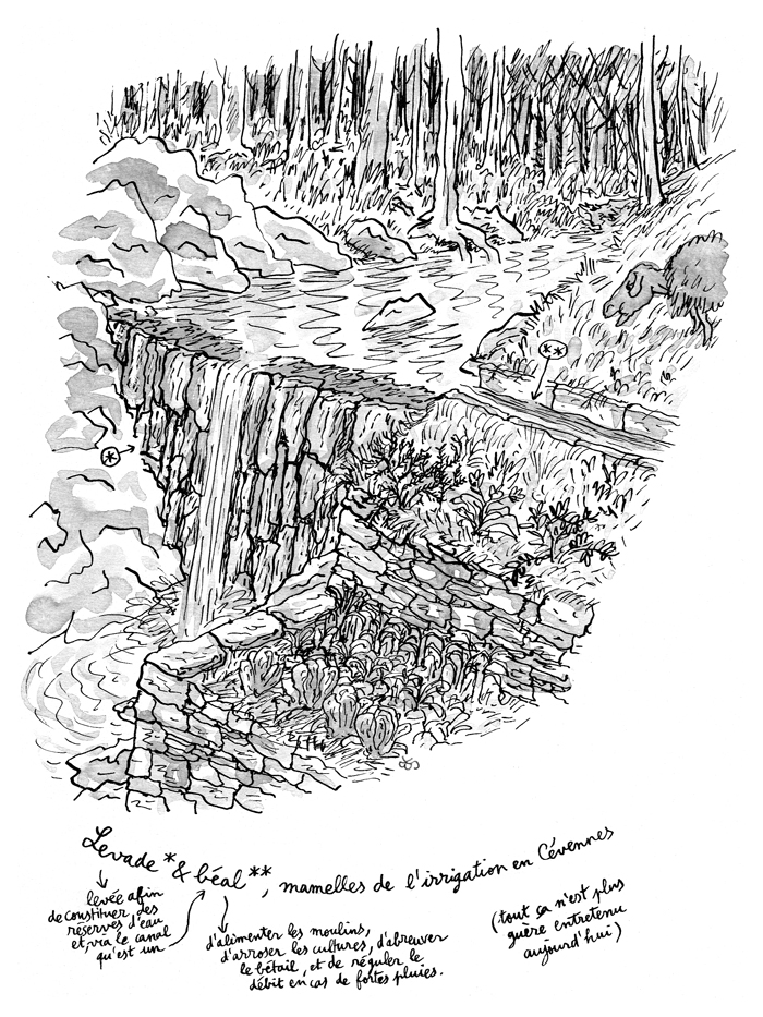 - À L'EAU - Carnet de cambrousse- page 4