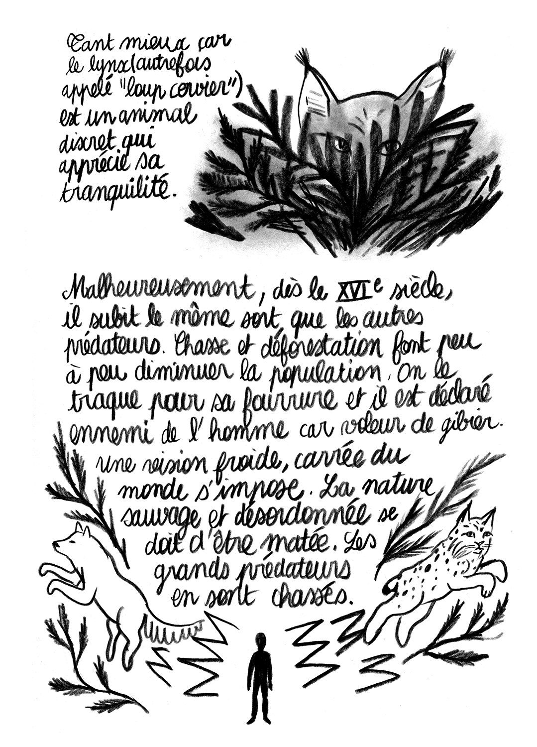 - Lynx en danger- page 3