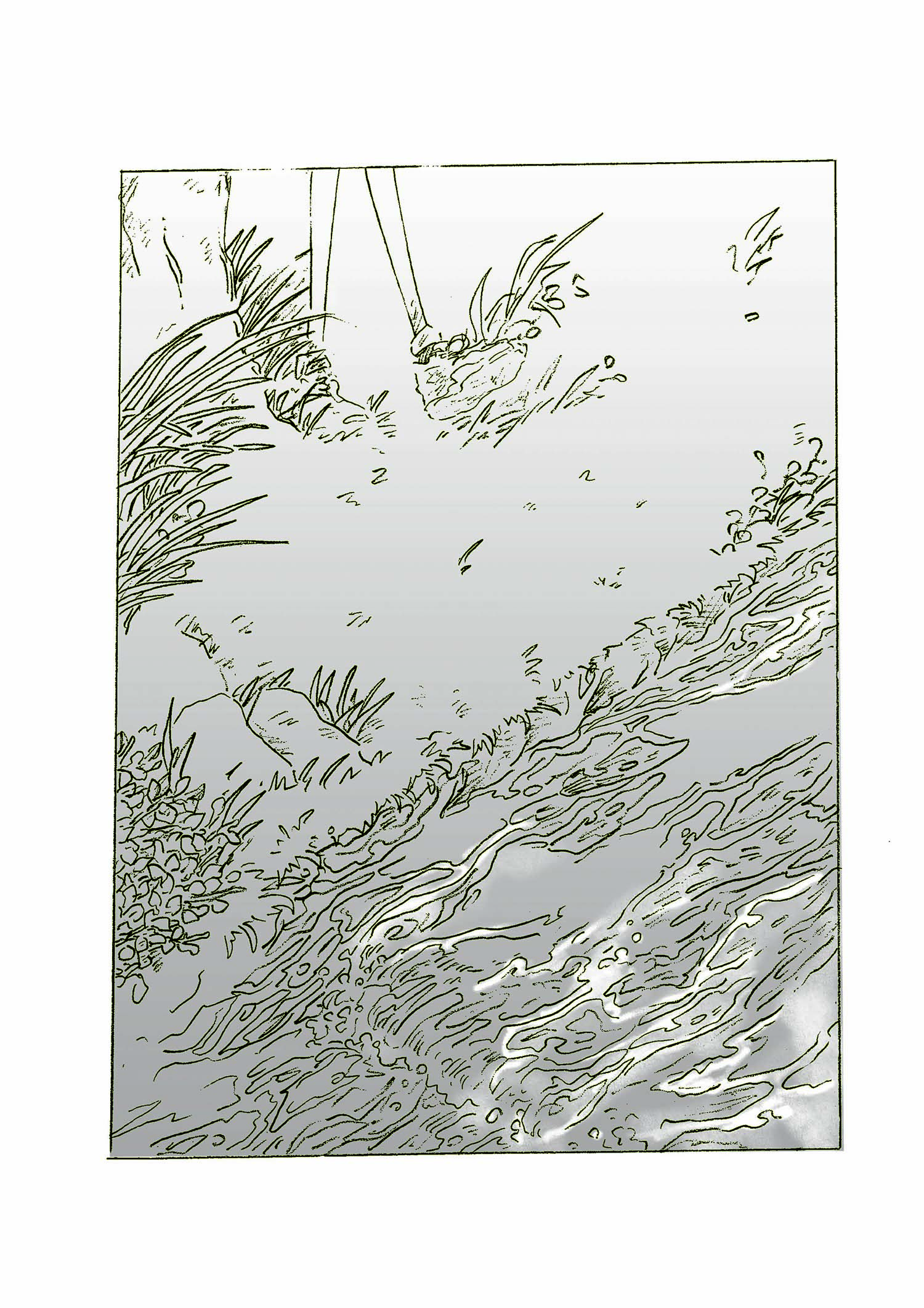 - The Shape of Water- page 4